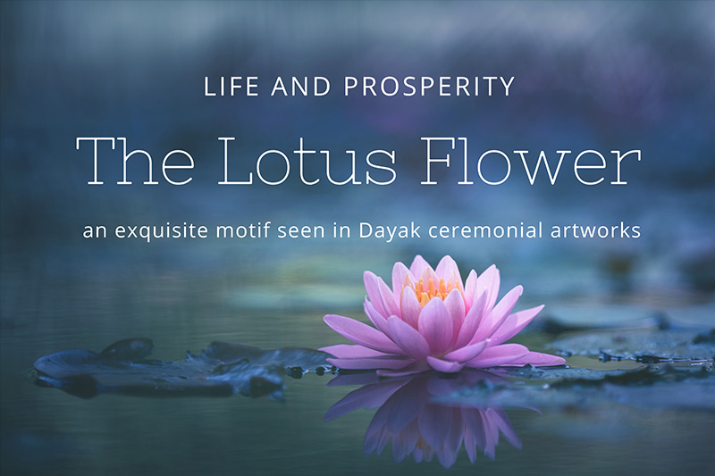 Cover — The Symbolic Essence of the Lotus Flower in Dayak Art